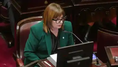 Sagasti y Fama quedaron afuera de la sesión remota: el Senado postergó el debate y Bullrich festeja