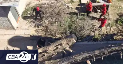 El viento azotó Córdoba: ráfagas de casi 100 km/h y una ola de llamados de emergencia