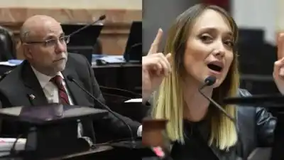 El revés que dejó afuera a dos senadores clave en la votación de la Ley de Propiedad Privada