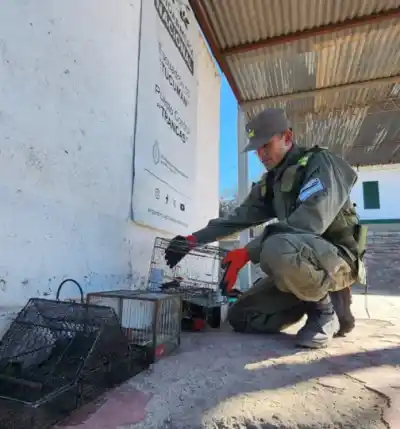 Gendarmes oyeron ruidos en el baúl de un auto y lo que hallaron adentro dejó a todos sin palabras