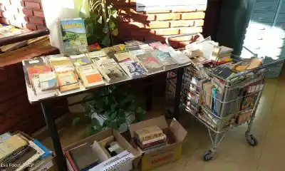 Por $1.000, la Biblioteca Agustín Álvarez de Trelew pone en venta sus libros: ¿qué ejemplares se pueden conseguir?