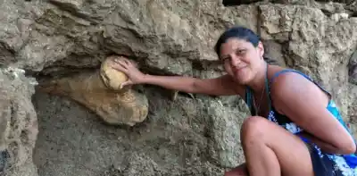 Hallazgo en la playa: lo que dos turistas encontraron entre las rocas dejó boquiabiertos a los científicos
