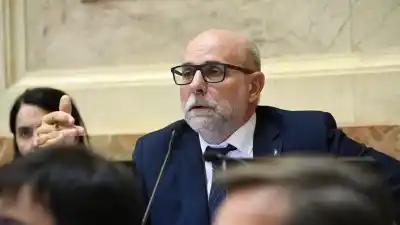 Qué pasó con el pedido de Flavio Fama para votar de manera virtual