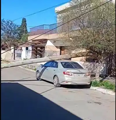 El viento castigó a Olta: derribó columnas y aplastó un auto estacionado