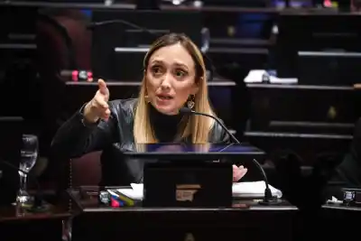 El Senado le negó el voto remoto a Fernández Sagasti: qué pasó con su embarazo de riesgo