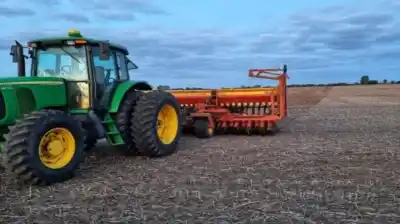 El agua que no da tregua: cómo los excesos hídricos frenan al girasol y al trigo en el sur agrícola