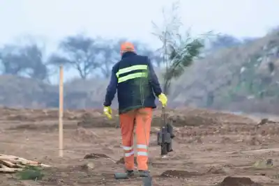Santa Rosa suma 625 árboles en el Relleno Sanitario y avanza con un plan de 3.000 ejemplares