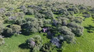 El mapa oculto de la tierra argentina: el departamento santafesino que desafía la ley