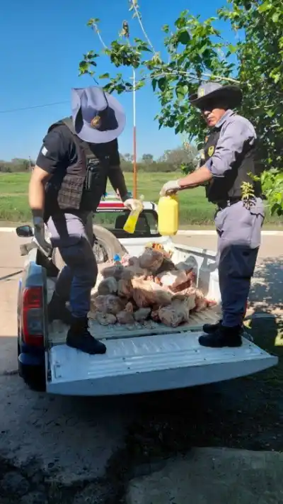 Carne en mal estado y un caballo herido: el doble operativo que estremeció a Lapachito y La Verde