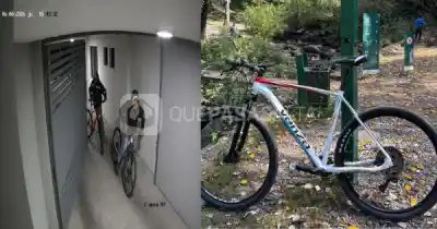 El audaz robo de dos bicicletas de alta gama que quedó filmado: buscan a los ladrones