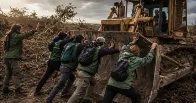 El insólito giro que intentan los Karlen para borrar el mayor desmonte ilegal del país