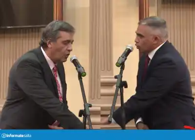 El Senado blindó el control estatal: Nanni y Ferraris juraron como auditores