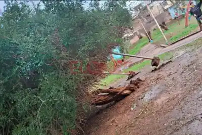 El viento que azotó Paraná y derribó una estructura en una plaza: qué pasó en barrio El Sol