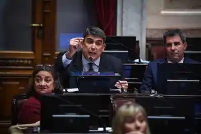 Denuncian que la ley de Milei entrega el país: el duro descargo de un senador