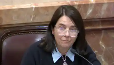 El Senado define el futuro de la propiedad privada: la advertencia de una senadora cordobesa