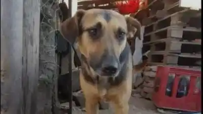 La desesperada búsqueda de “Cata” que mantiene en vilo a un barrio de Jujuy