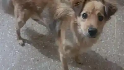 Desesperada búsqueda en Jujuy: ofrecen $1.000.000 por dar con el paradero de “Moncho”