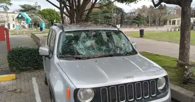 Ráfagas de hasta 74 km/h azotaron Rosario: árboles caídos y autos destrozados en plena calle