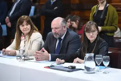 Senado nacional: el respaldo correntino a la industria textil que incomoda al Gobierno