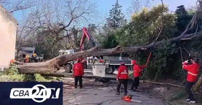 Ráfagas violentas en Córdoba: el dramático balance de Defensa Civil tras el temporal