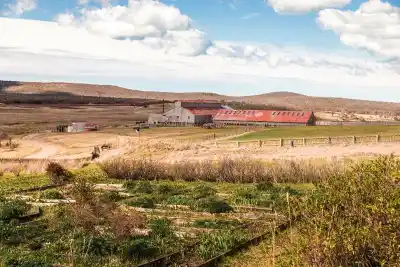 Un cambio que esperaron 14 años: el revalúo rural fueguino dispara la base imponible un 8.969%