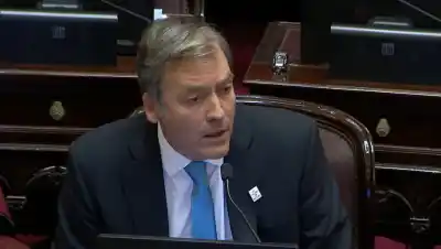 El durísimo mensaje de Soria a Sturzenegger en el Senado: «Destruczenegger» y la advertencia sobre la soberanía