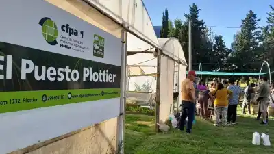 Docentes de toda la provincia podrán capacitarse gratis en Plottier y sumar puntaje: cupos limitados