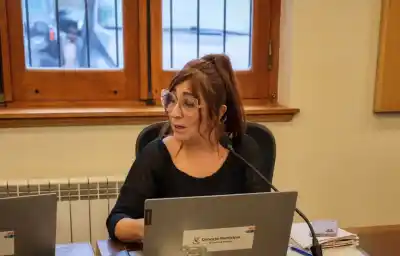 Renunció al Consejo de Discapacidad y dejó una frase que sorprendió a todos