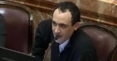 Guerra en el Senado: Carambia explota contra Benegas Lynch y lo deja sin palabras