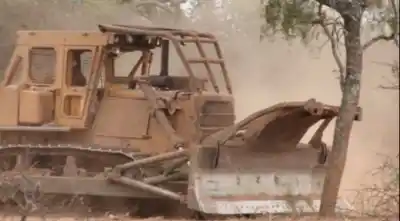 La Justicia salteña blindó un embargo récord contra los responsables del desmonte ilegal en Finca Cuchuy