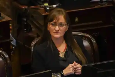 ¿Dignidad o sometimiento? La dura crítica de Schneider sobre las tierras chaqueñas