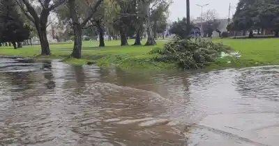 Cortes de luz y calles anegadas: la tormenta que complicó a varios barrios