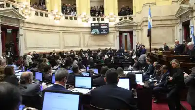 El oficialismo sufrió otro revés en el Senado: tuvo que retirar un capítulo clave de la ley de Propiedad Privada