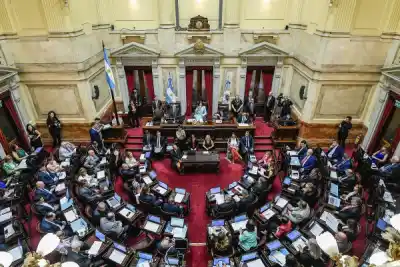 Victoria agridulce para el oficialismo: el Senado aprobó la ley de desalojos exprés pero perdió la pulseada por la Ley de Manejo del Fuego