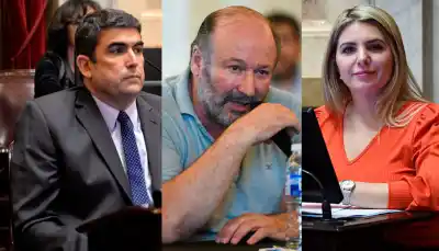Polémica en La Pampa: los senadores que voltearon con el oficialismo en la ley de desalojos