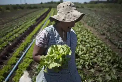 Alta Gracia se convierte en el corazón de la agroecología: llega el Encuentro & Regeneración