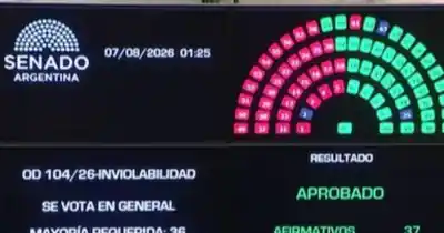 La ley que divide al Senado: el detalle de la votación que nadie contó