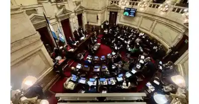El gobierno logró la media sanción de la ley de propiedad privada, pero tuvo que ceder en dos capítulos clave