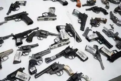 El lote de armas que Neuquén envió a destruir y el dato que nadie esperaba