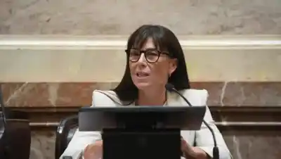 El voto que incomodó al oficialismo: Corroza se plantó y Neuquén logró frenar un capítulo clave