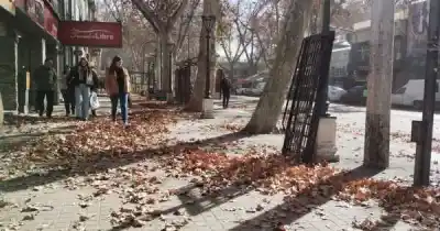 Alerta en Mendoza: el Zonda podría azotar la Ciudad en las próximas horas