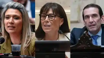 Media sanción a la Ley de Propiedad Privada: el voto de los senadores neuquinos que definió la ajustada votación