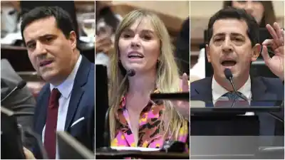 El voto bonaerense que definió la Ley de Propiedad Privada: ¿quién rompió la fila?