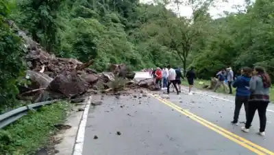 Derrumbe en la Ruta 307: “Corte total hasta que despejen el camino”