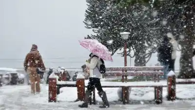 La nevada sorprendió a Bariloche: qué pasó con las clases y qué exigen para circular