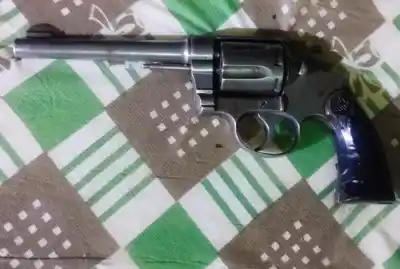 El operativo en San Luis que dejó un arsenal oculto y un hallazgo inesperado