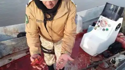 Cayó un sospechoso de abigeato en las islas Lechiguanas: el detalle que no se sabía