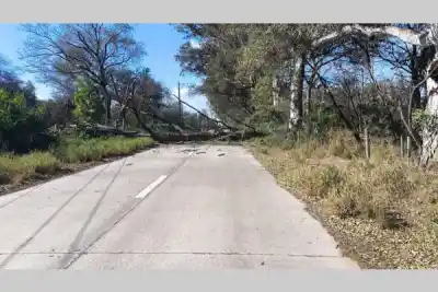 El viento arrasó en Santiago: voló techos, tumbó árboles y dejó un saldo que sorprende
