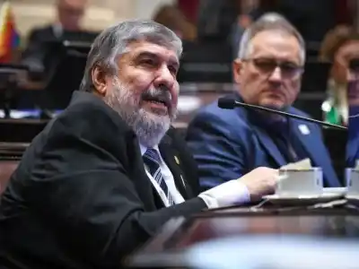 El senador Mayans cruzó a Milei por las tropas y lo acusó de "violar la Constitución"
