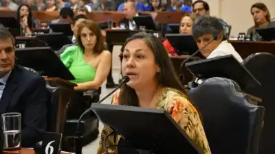 La deuda que ahoga a los formoseños: la oposición exige tratar un proyecto clave